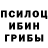 Псилоцибиновые грибы Cubensis rammperatop 1