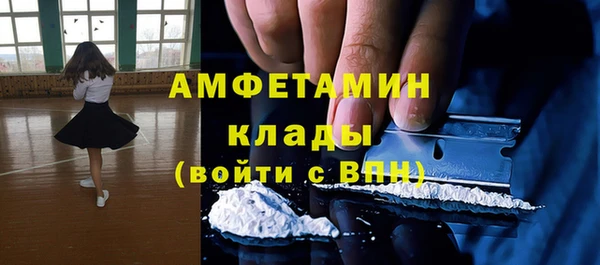 ПСИЛОЦИБИНОВЫЕ ГРИБЫ Арсеньев