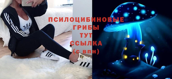ПСИЛОЦИБИНОВЫЕ ГРИБЫ Арсеньев