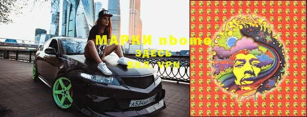 ПСИЛОЦИБИНОВЫЕ ГРИБЫ Арсеньев