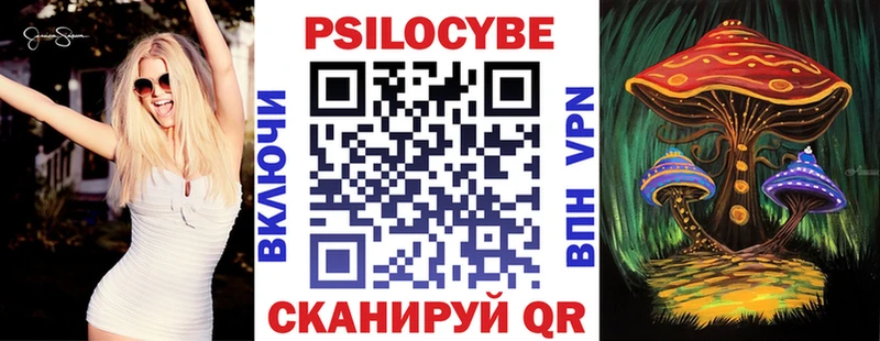 Псилоцибиновые грибы Psilocybe  где купить наркоту  Камызяк 
